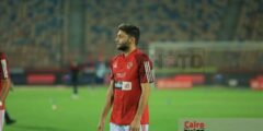 شوقي غريب يطلب التعاقد مع كريم نيدفيد