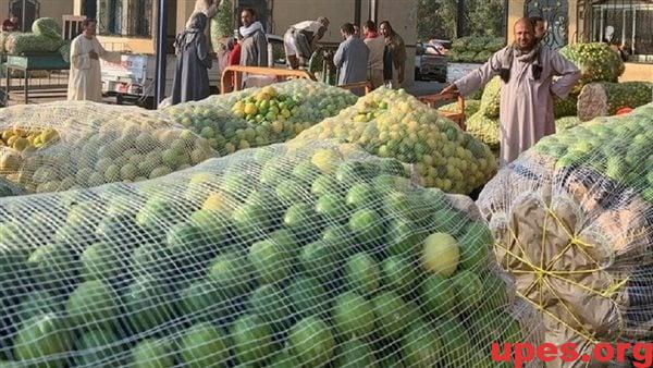 كيلو الليمون وصل لـ60 جنيهًا.. وسيواصل الارتفاع حتى بعد شهر رمضان