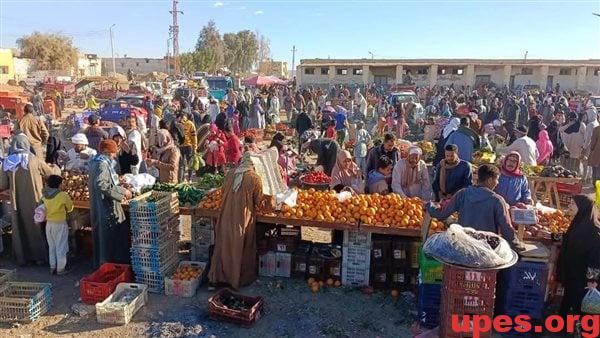 للمرة الثامنة.. افتتاح أسواق اليوم الواحد في المنوفية