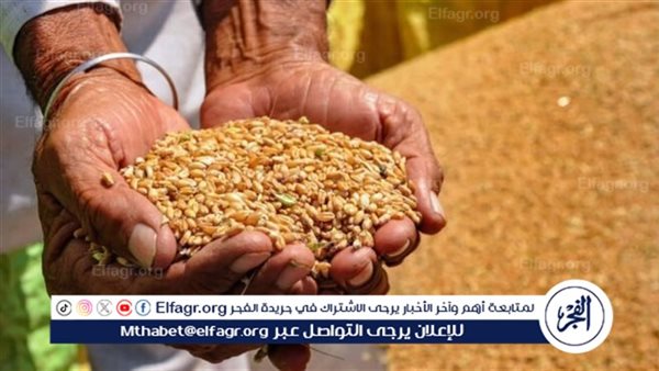 أسواق الأعلاف ومواد التسمين بمحافظة أسوان اليوم الجمعة 31 أكتوبر 2025