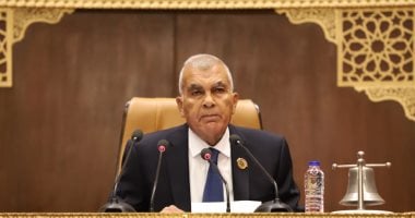 انطلاق الجلسة العامة لمجلس الشيوخ لمناقشة تعديلات قانون الكهرباء