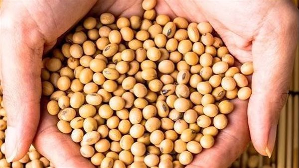 ارتفاع أسعار فول الصويا متجهة لتسجيل أكبر مكاسب أسبوعية في 6 أشهر