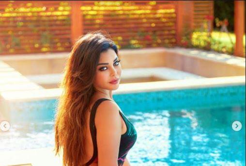 مدته ربع ساعة.. فيديو هيفاء وهبي كامل مع زوجها خليجي يشعل التريند حقيقي ام مفبرك