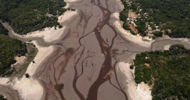 رئة الأرض على شفا كارثة تاريخية.. درجات الحرارة والجفاف غير مسبوقين منذ 10 ملايين سنة فى غابات الأمازون.. ملايين الكائنات الحية فى مواجهة الانقراض والجفاف الشامل.. فما الجهود المتبعة للحفاظ على ما تبقى؟