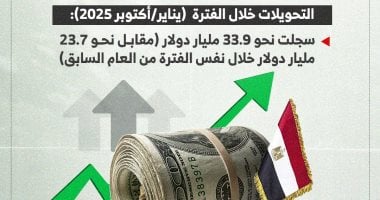 33.9 مليار دولار خلال 10 أشهر.. قفزة تاريخية فى تحويلات المصريين بالخارج