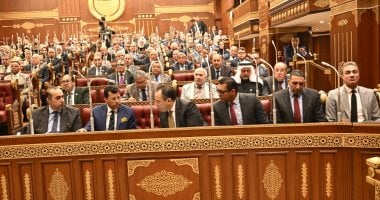 مجلس الشيوخ يوافق مبدئيا على تعديل قانون نقابة المهن الرياضية