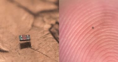 مش هتصدق حجمها.. علماء يبتكرون أصغر روبوتات فى العالم يمكنها الحركة والتفكير