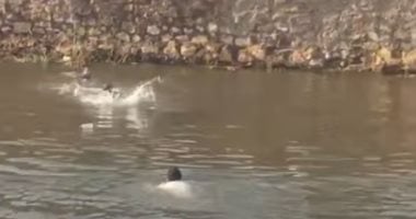 غرق 3 أشخاص فى ترعة المريوطية بالبدرشين والإنقاذ النهرى ينتشل الجثث