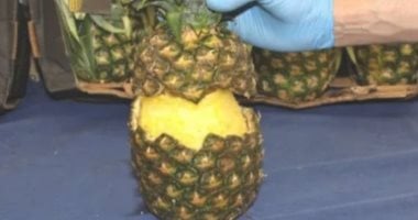كوكايين مخبأ بالأناناس.. مصادرة أكثر من 2 طن مخدرات داخل شحنة فواكه بإسبانيا