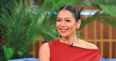 لقاء الخميسى عبر فيس بوك: أى تصريحات بخصوص الموضوع المثار حاليا غير صحيحة