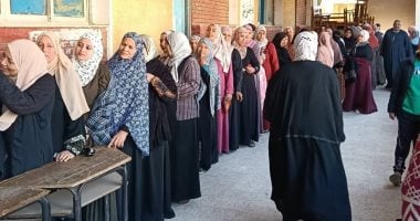 ننشر جميع أسماء الفائزين فى 27 دائرة ملغاة لانتخابات مجلس النواب