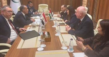 وزير الخارجية يشدد على أهمية الانتقال للمرحلة الثانية من خطة ترامب فى غزة