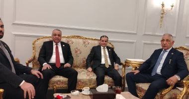 بدء توافد النواب الجدد لأداء اليمين الدستورية لانطلاق الفصل التشريعى الثالث